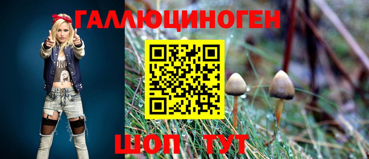 Псилоцибиновые грибы мухоморы  магазин продажи   Каменск-Шахтинский  Вход с VPN 